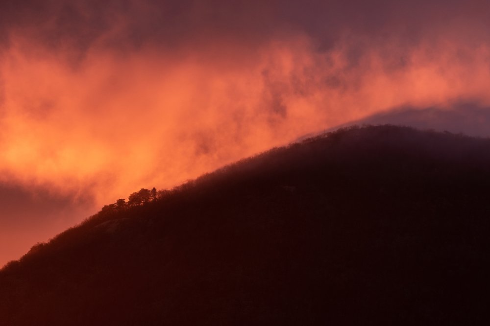 Photograph by Jernej Peljhan