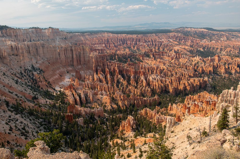 Photograph by Jernej Peljhan