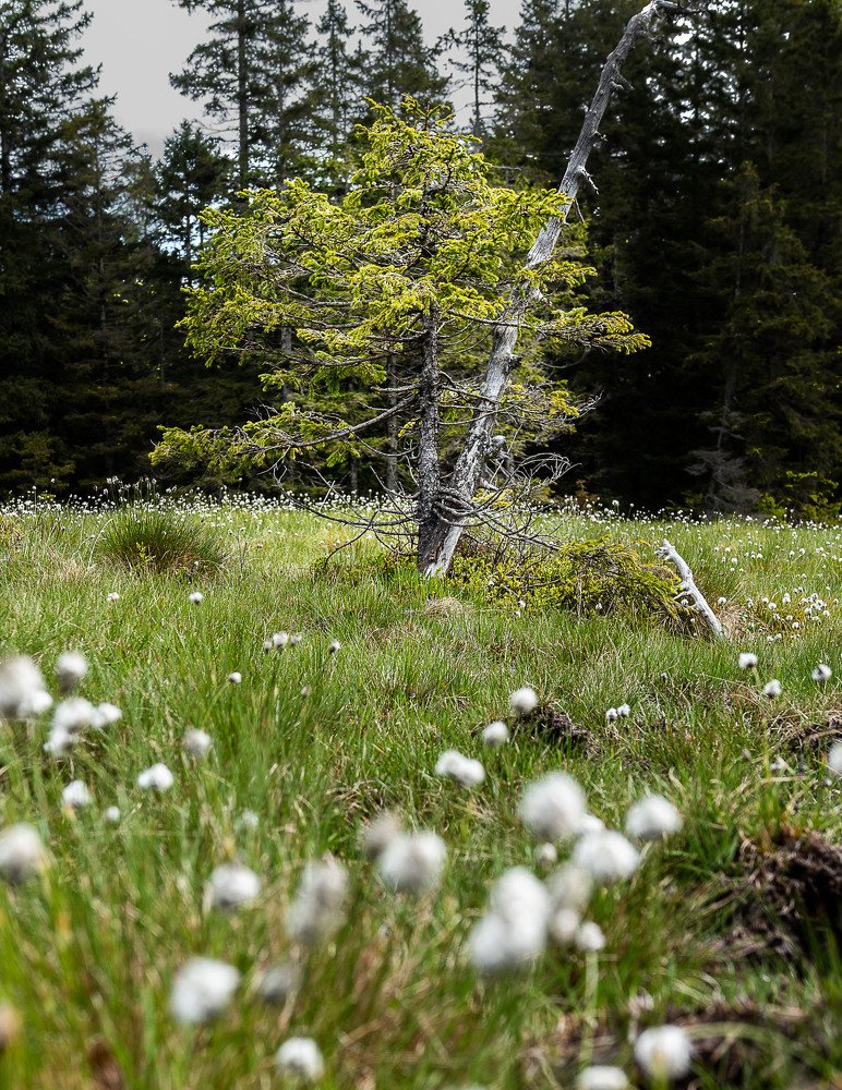 Photograph by Jernej Peljhan