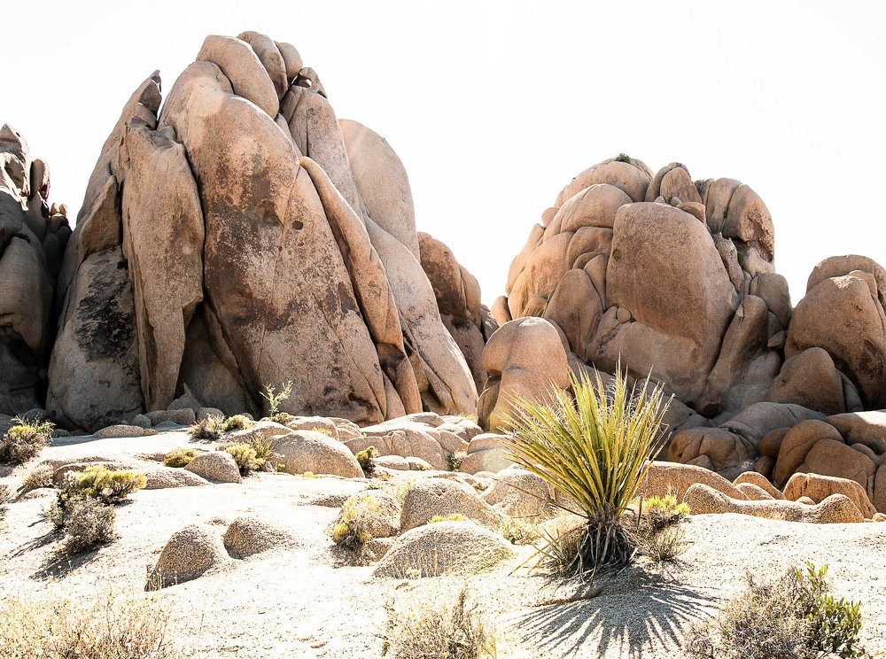 Photograph by Jernej Peljhan