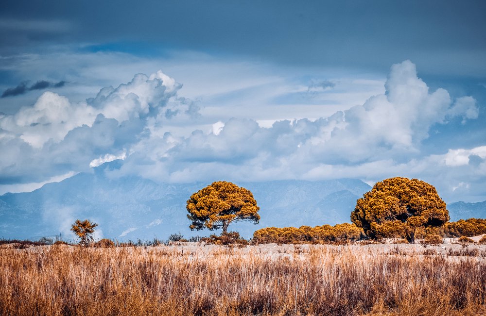 Photograph by Юлия Ковальчук