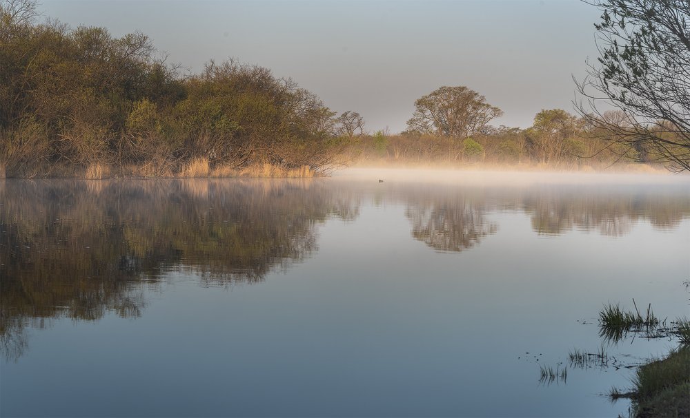 Photograph by Татьяна Слёзкина