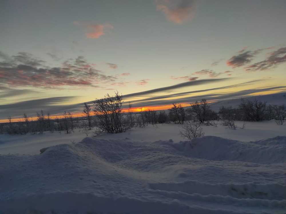 Фотография автора Марина Верина