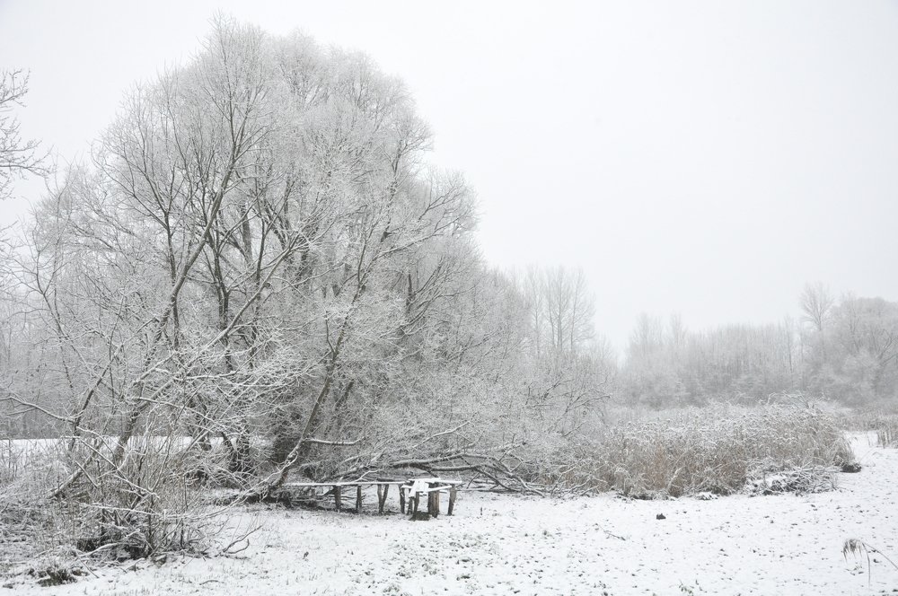 Photograph by Галина Лысых