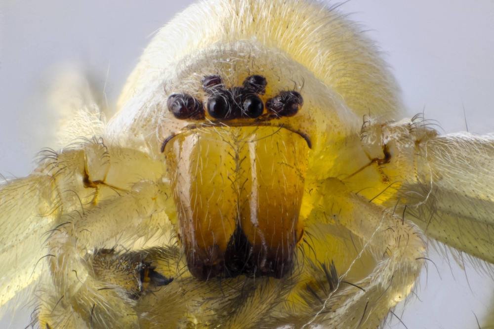 Photograph by Тарас Иванов