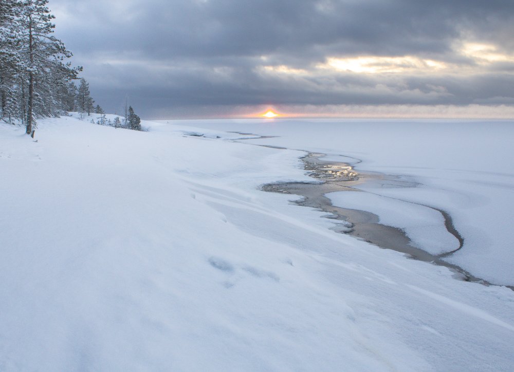 Photograph by Никита Луферов