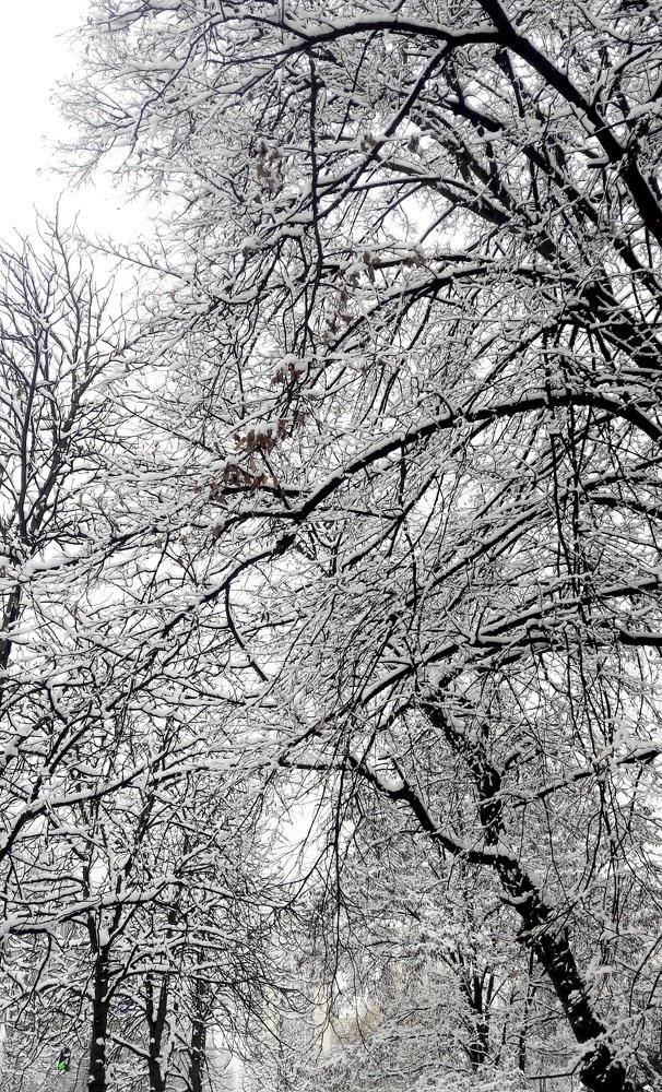 Photograph by Irina Gordienko