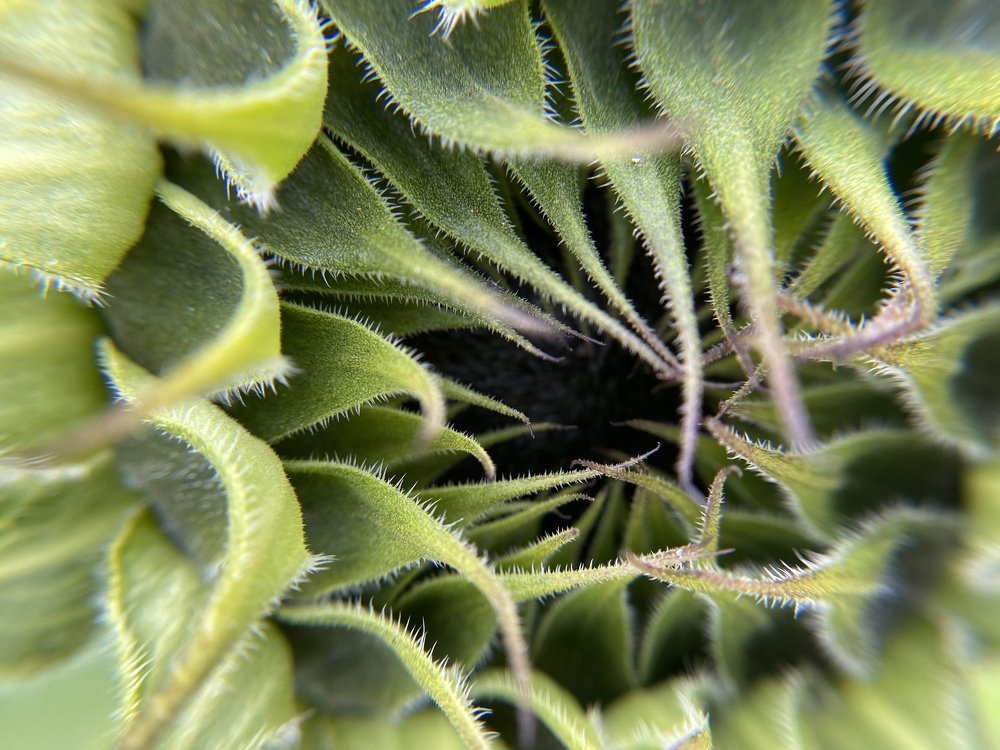 Photograph by Jackeline Gibbs