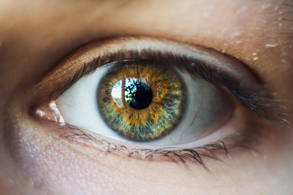 Photograph by Анастасия Киселева