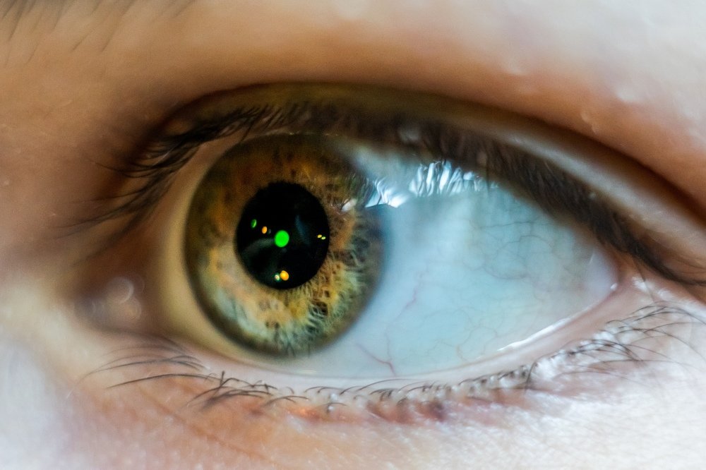 Photograph by Анастасия Киселева