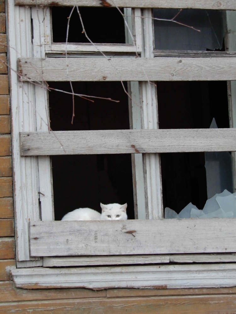 Photograph by Александр Зуев