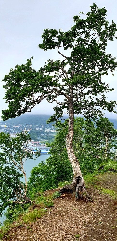 Сторожила Никольской сопки.