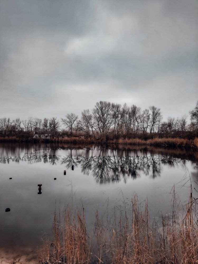 Фотография автора Ирина Якущенко