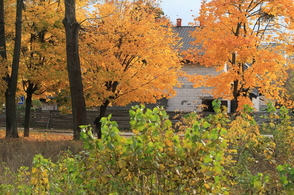 Третье мгновение осени