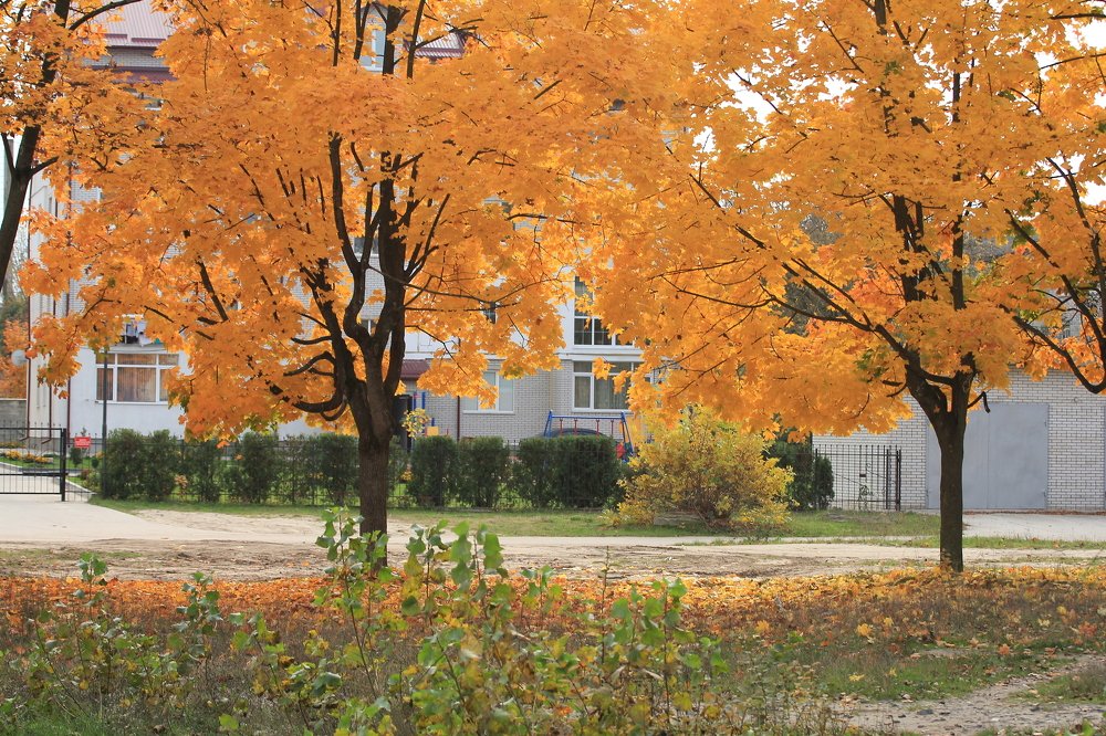 Улица янтарная