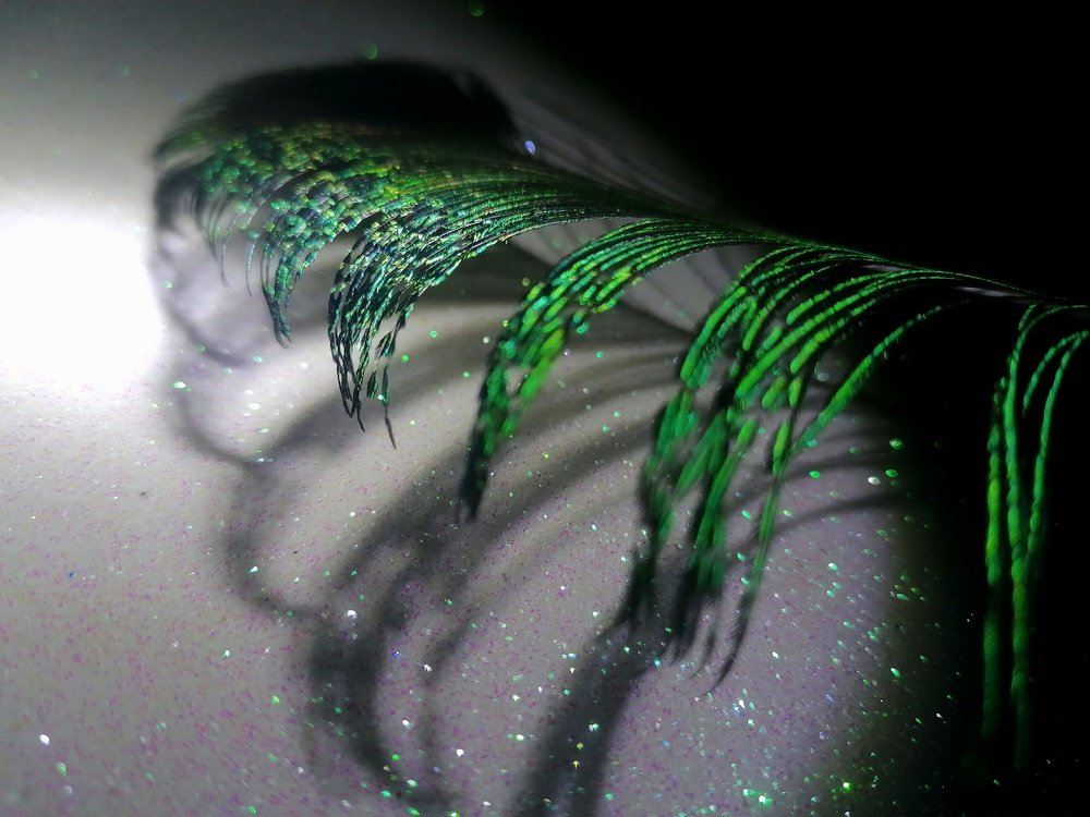 Photograph by Оксана Шевченко