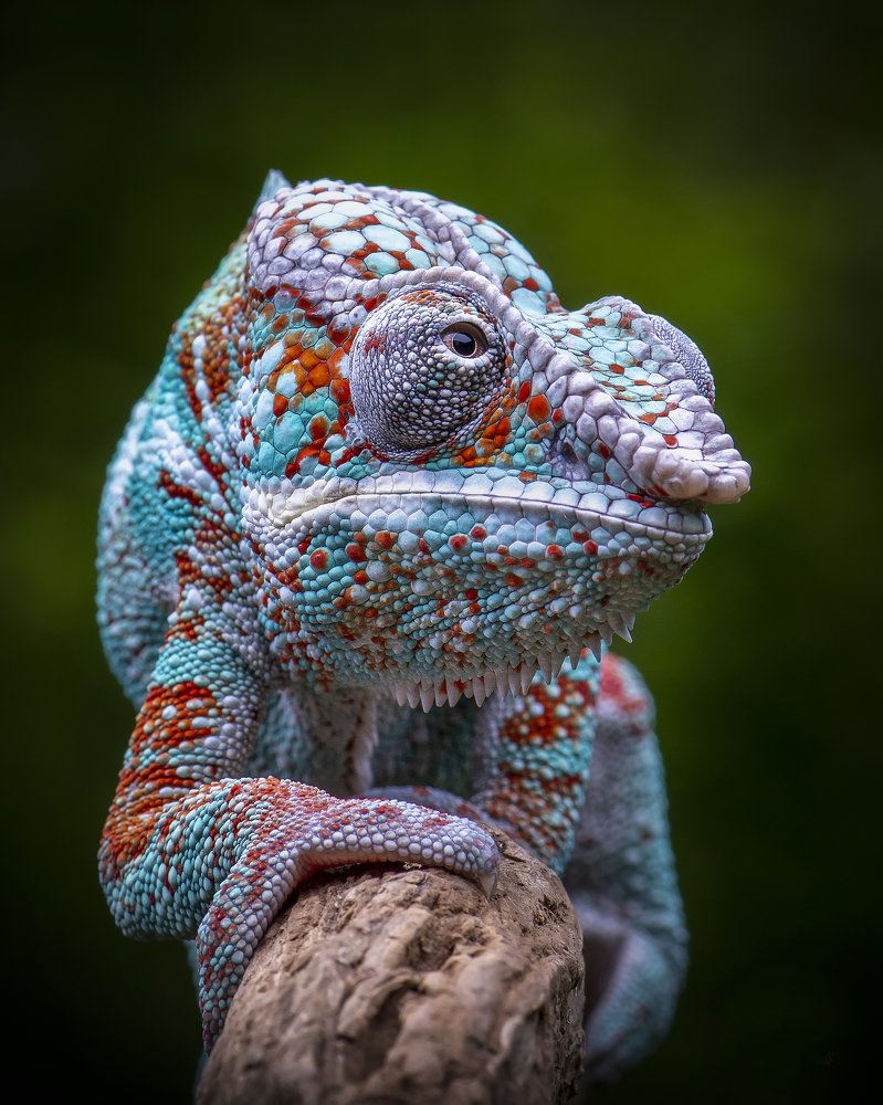 Photograph by Setiadi Ajar