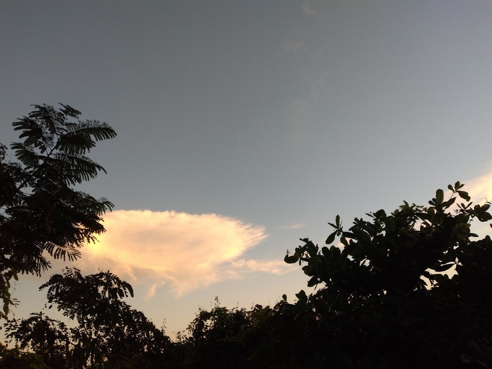 Photograph by Photographer boi