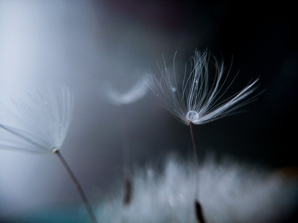 Photograph by Наталья Шумилова