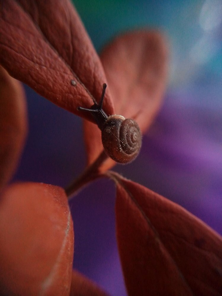 Photograph by Наталья Шумилова