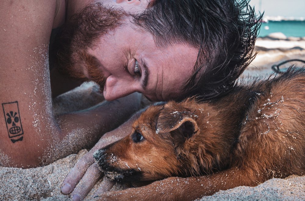 Photograph by Marko Radisavljevic