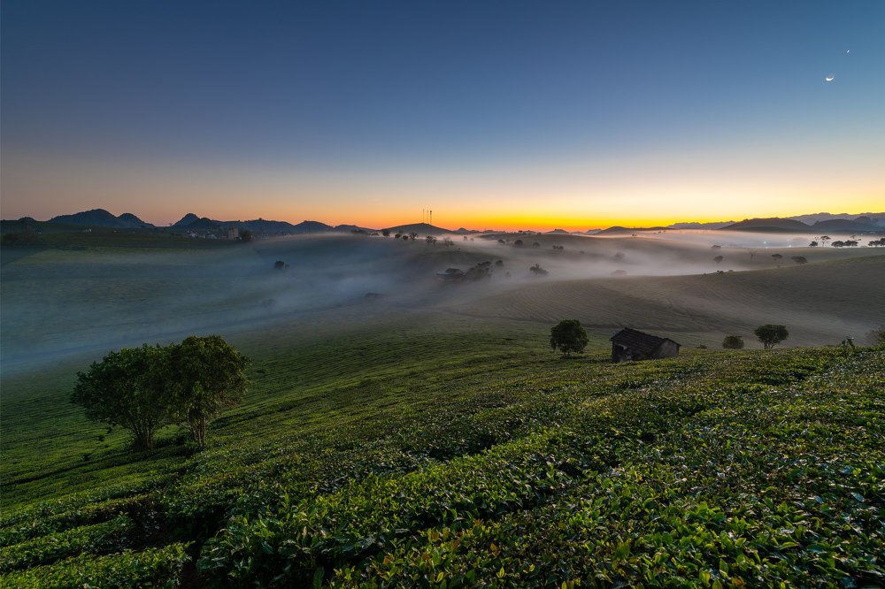 Tea hill in Moc Chau town at dawn.