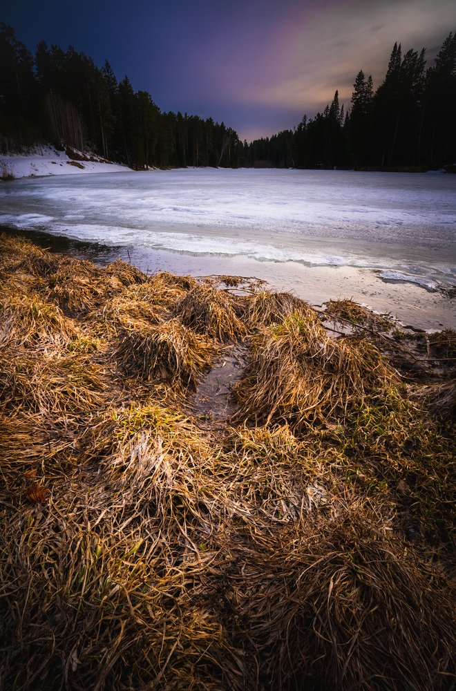 Photograph by Maria Pochikaeva