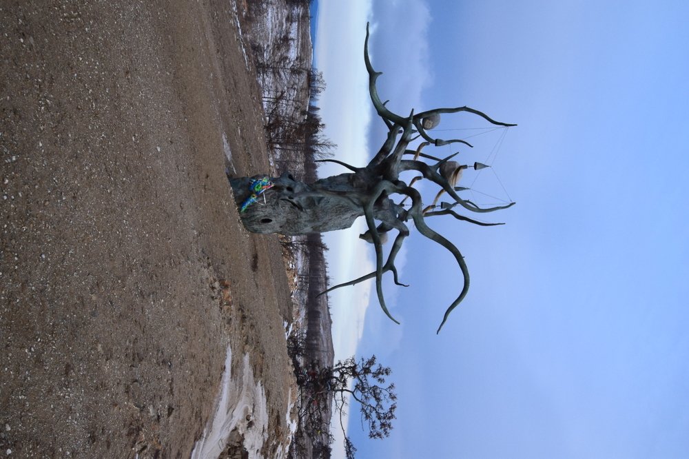 Photograph by Марина Корреа Ластра