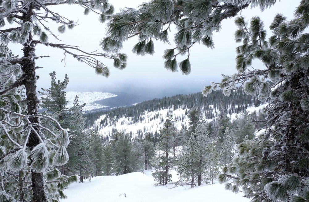 Photograph by Алексей Багурский