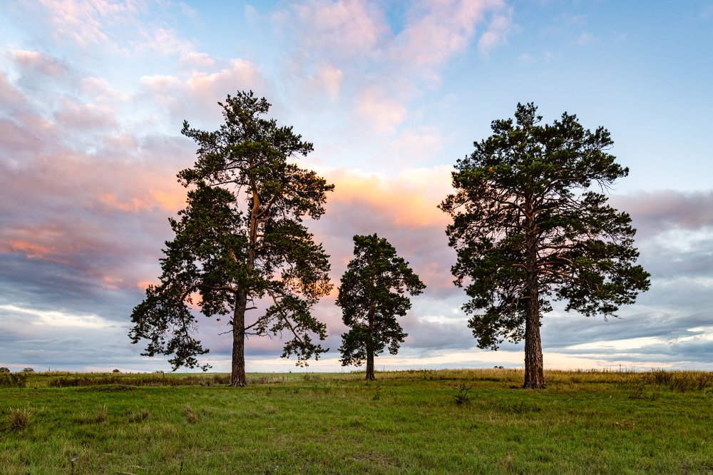 Photograph by Антон Жирнов