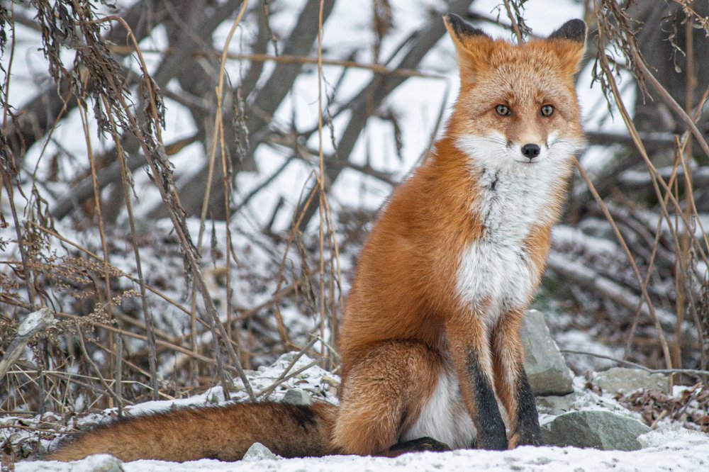 Photograph by Александра Марчак