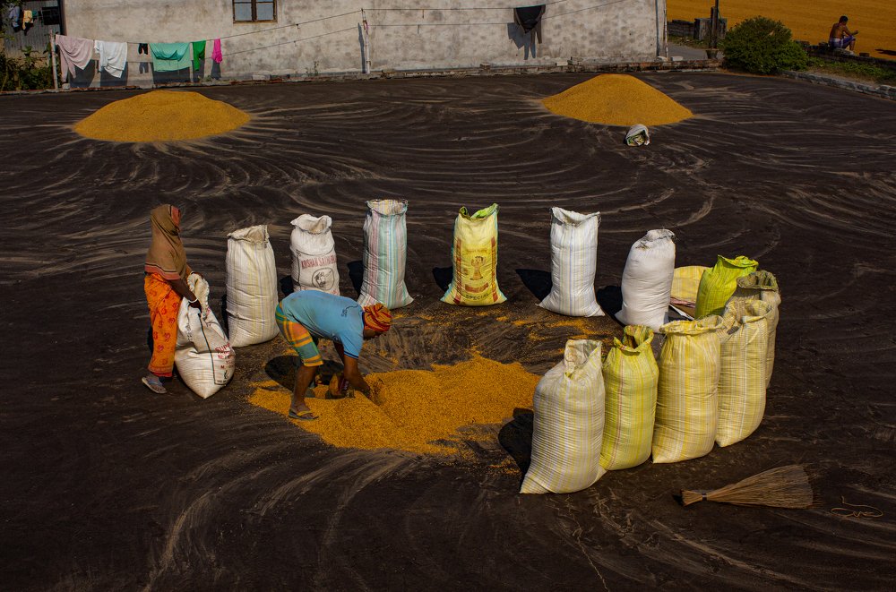 Photograph by SOUMYADEEP KUNDU