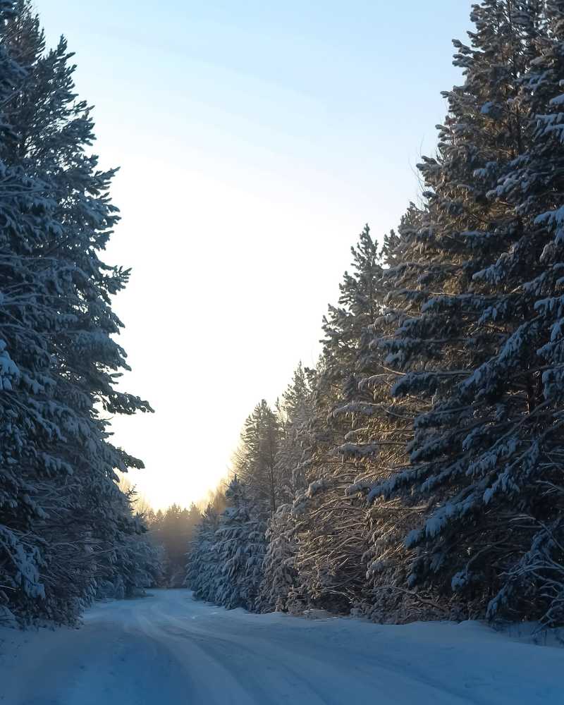 Photograph by Надежда Сабирова