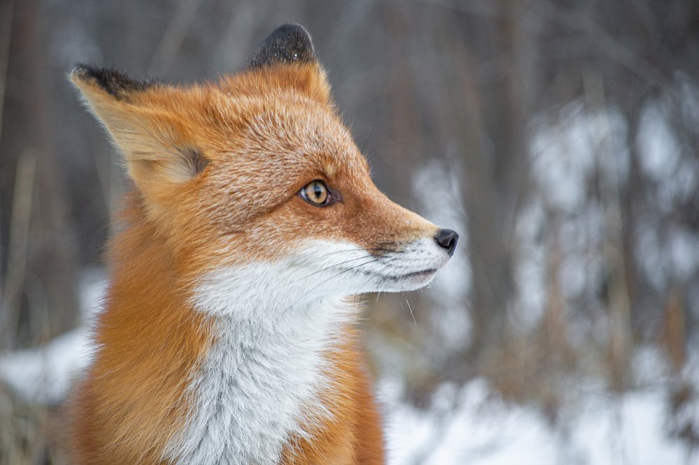 Photograph by Александра Марчак