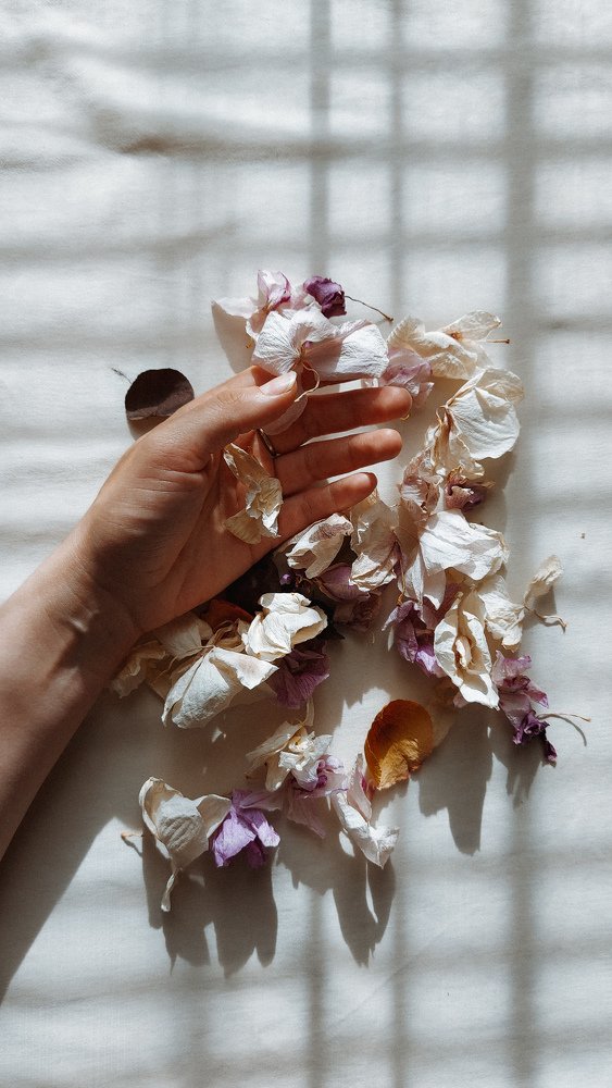 Photograph by Ксения Артемьева