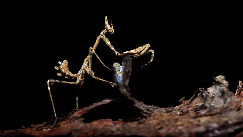 Photograph by Bekir Yesiltas