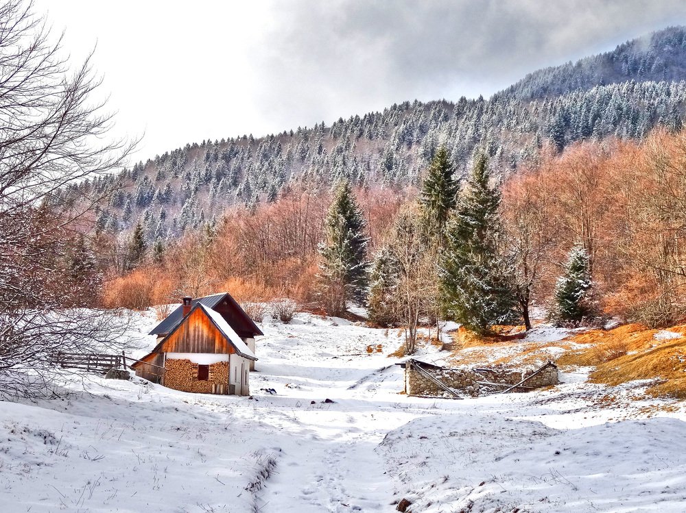 Photograph by Denis Treskanica