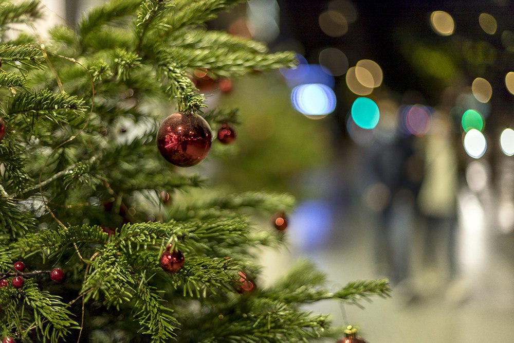 Photograph by Ángel Ros