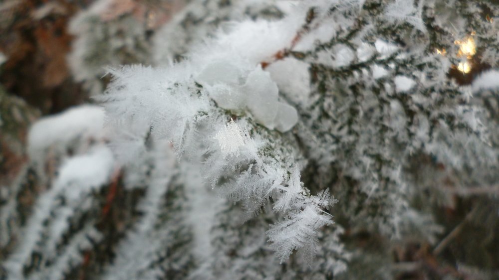Photo #5488875