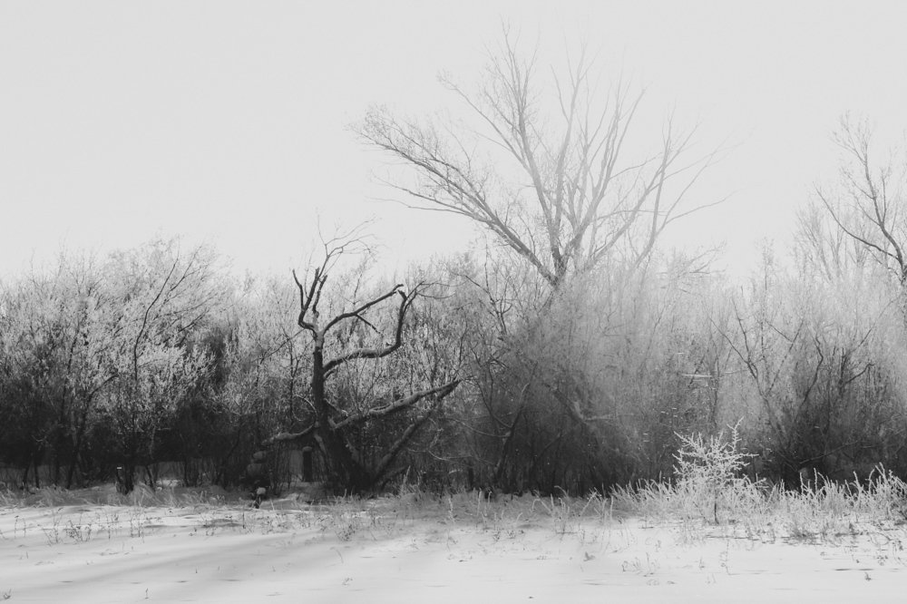 Фотография автора Yermek Zhunusbayev