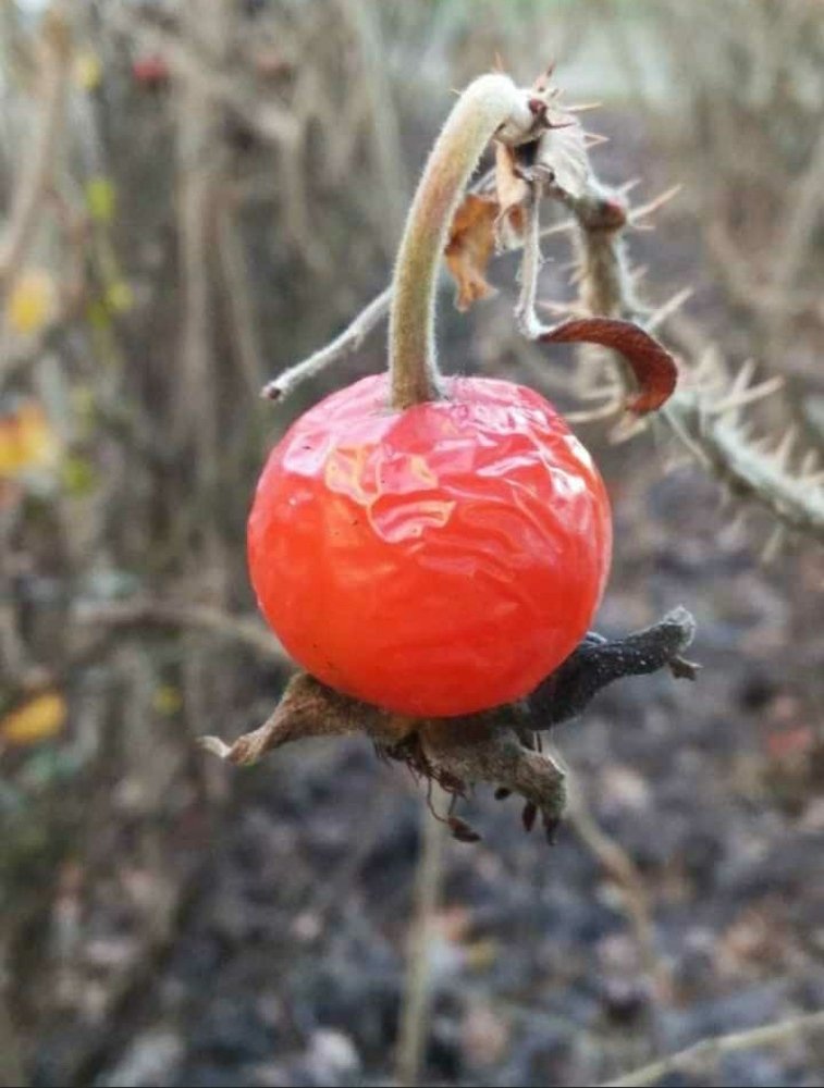 Photograph by Руслан