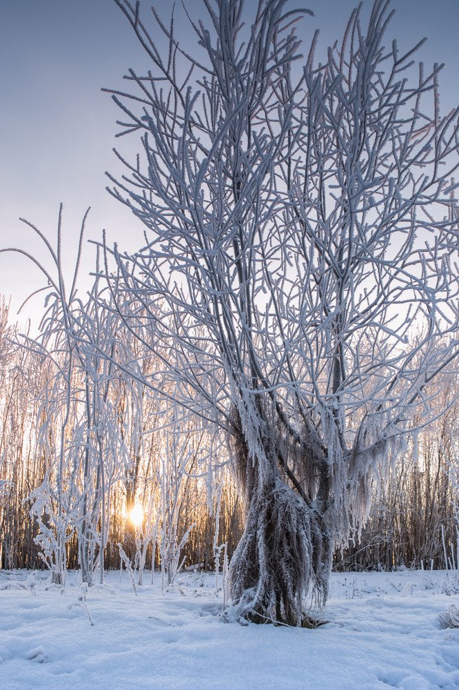 Photograph by Наталья Переверзева