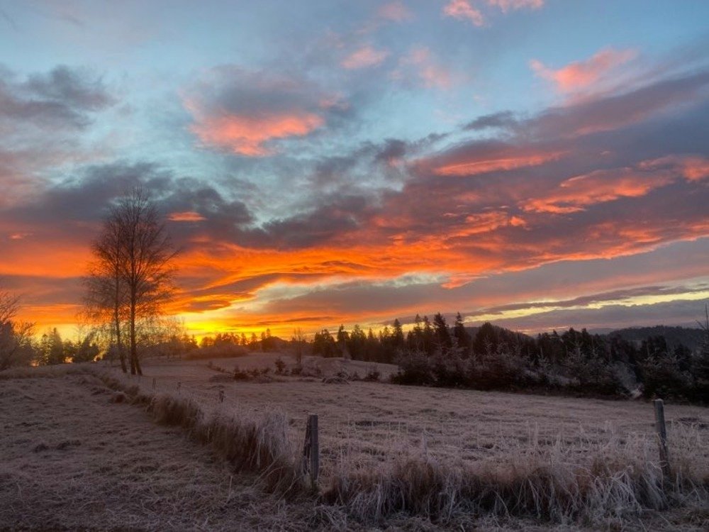 Photograph by Jarosław