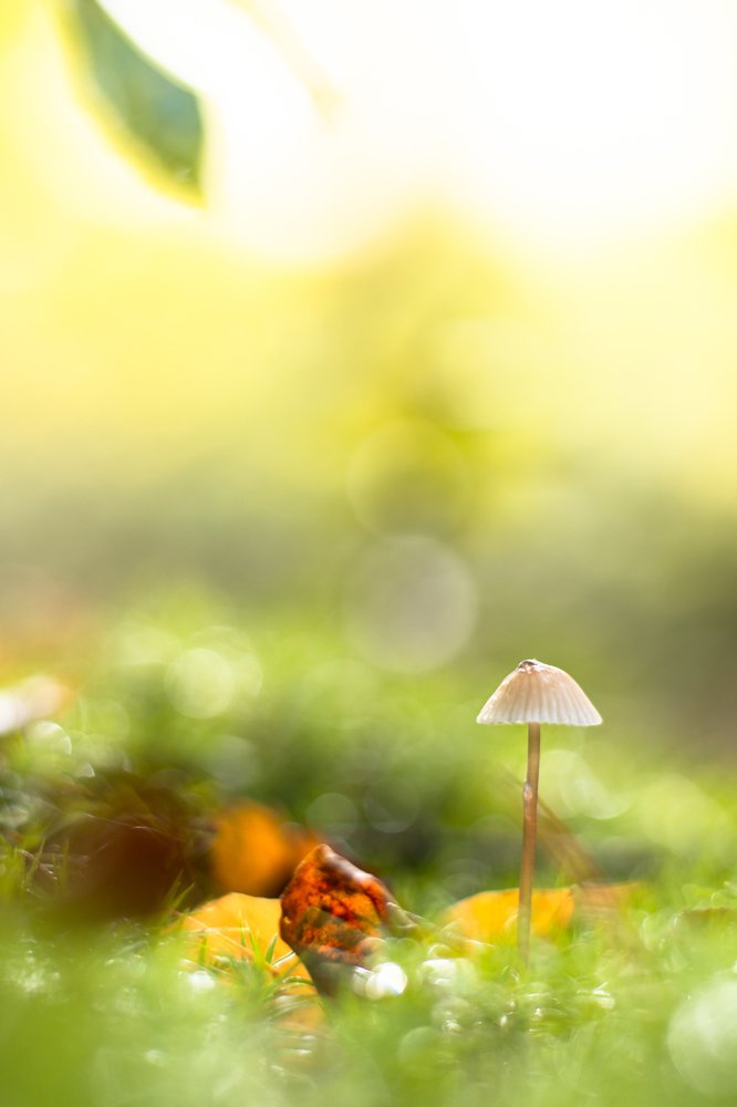 Photograph by Theo Crazzolara