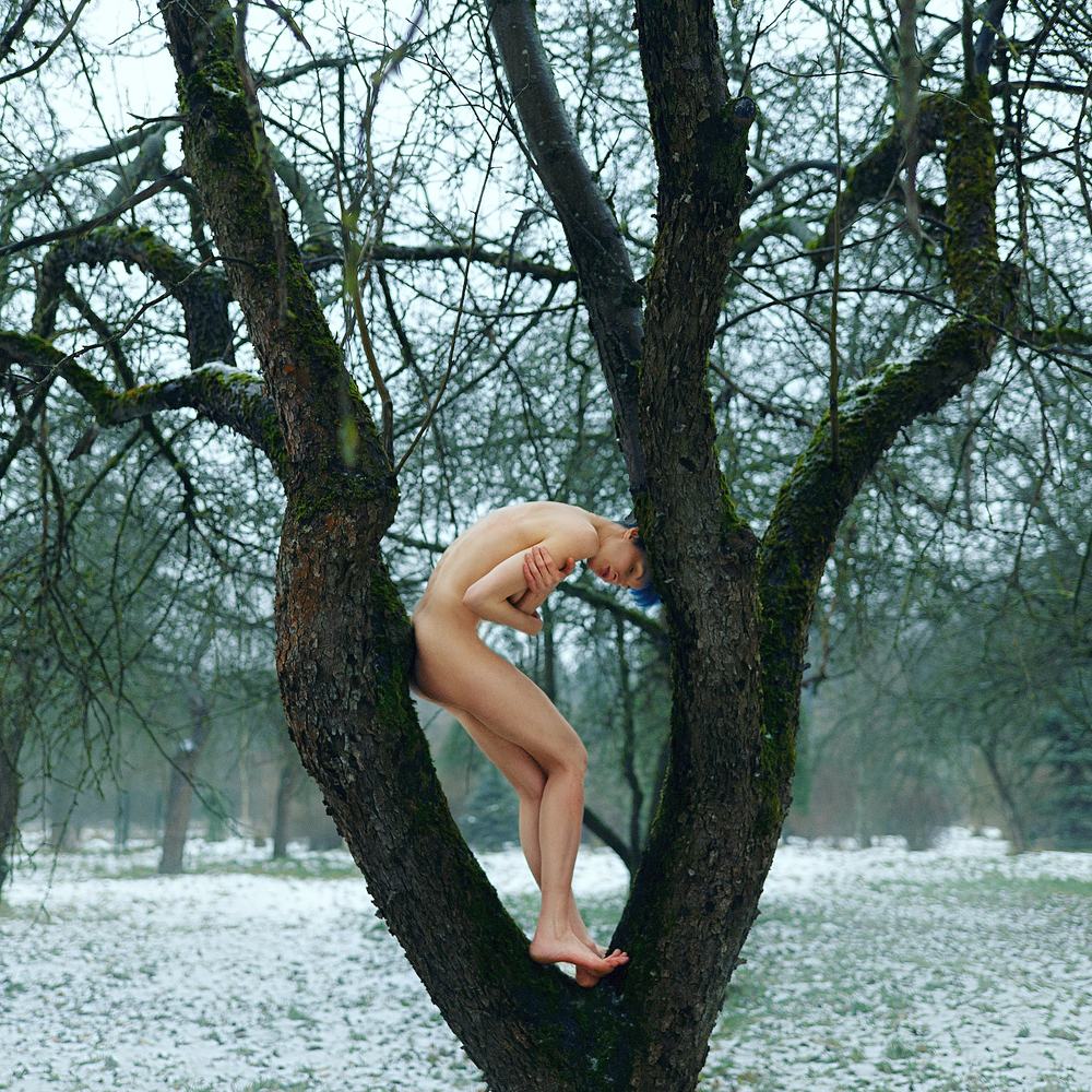 Яблоневый сад зимой.