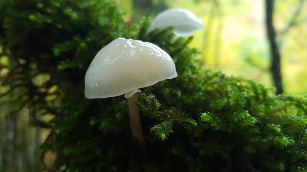 Photograph by MaIsabel Garcia