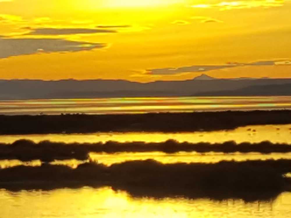 Photograph by MaIsabel Garcia