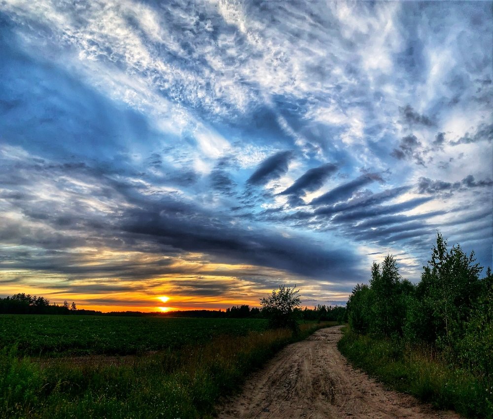 Photograph by Стрельникова Елена