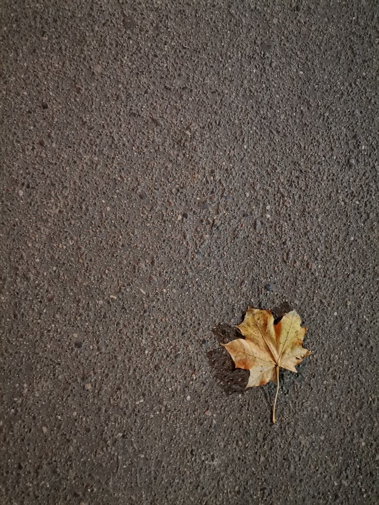 Photograph by Алексей