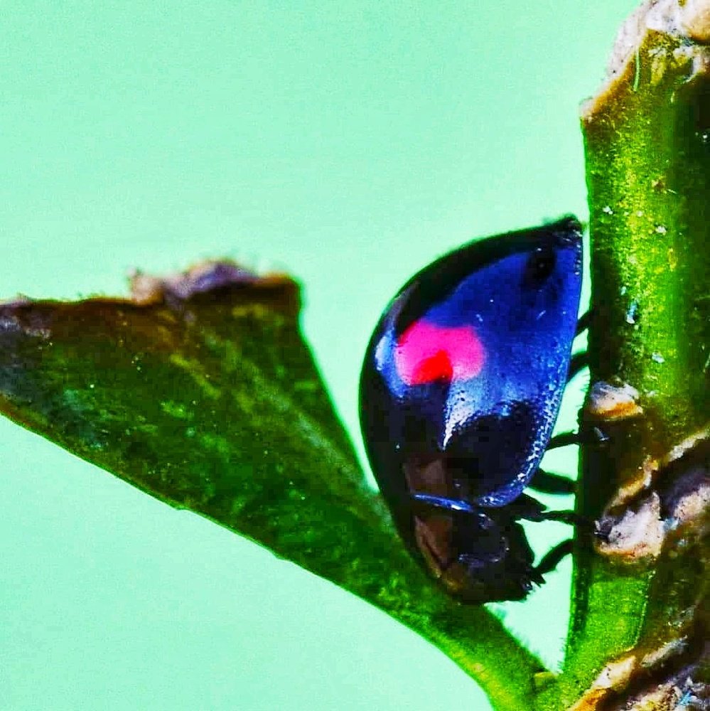 Photograph by Eva Minßen